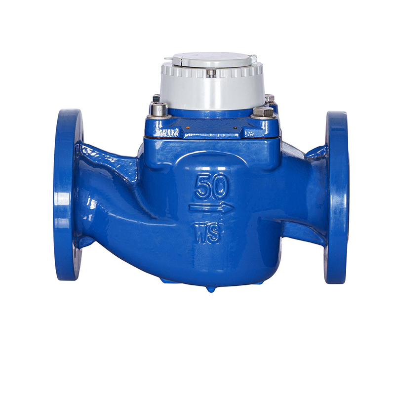 WS-DN40-DN200 Meteran Air Sayap Spiral Vertikal Presisi Tinggi yang Dapat Dilepas