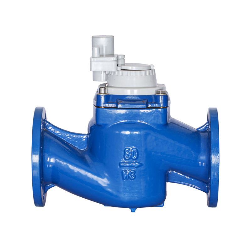 WS-DN40-DN200 Meteran Air Terintegrasi Non-magnetik Dapat Dilepas Sayap Sekrup Vertikal Presisi Tinggi
